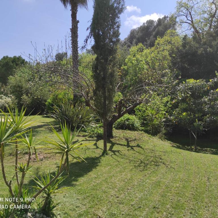 vence - Villa - 25