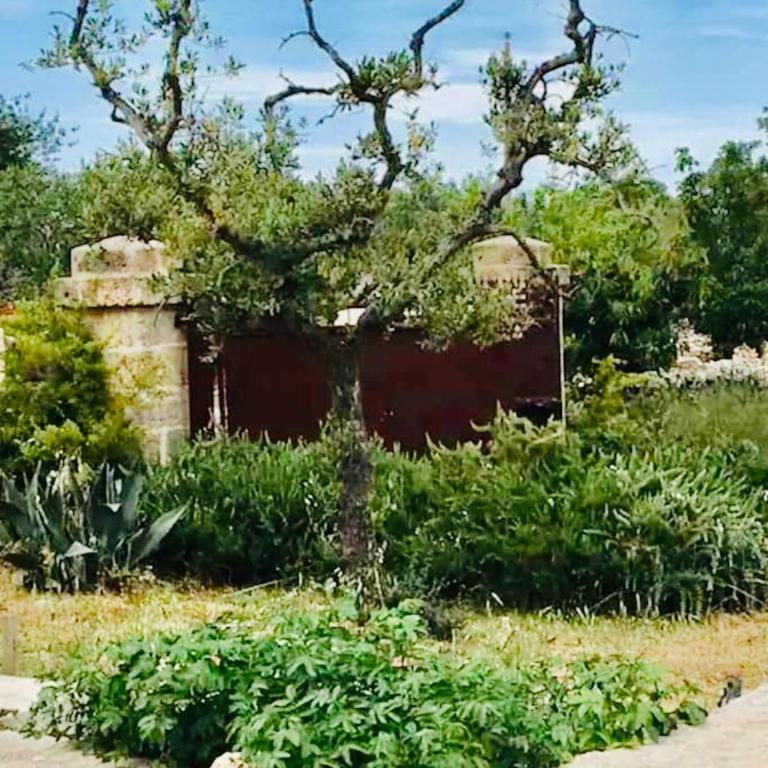 TRULLI LALU INCANTEVOLI ALBEROBELLO - Casa con 2 Camere da Letto - 23