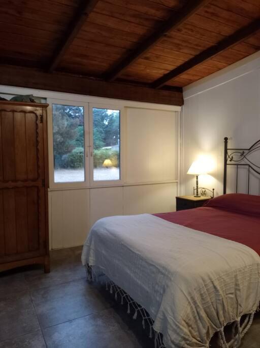 Cabaña amplia, cálida y rodeada de naturaleza - Casa de 2 dormitorios - 19