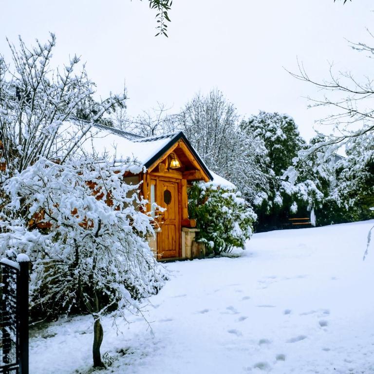 Blue Bird House - Chalet - 4