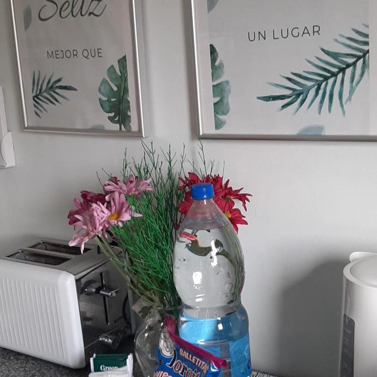 SELIZ SUITES LUMINOSO, CON COCHERA para Auto Mediano o Pequeño - Apartamento de 1 dormitorio - 6