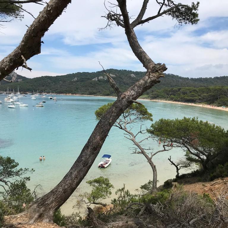Appartement climatisé hyper-centre de Toulon - Apartment mit 1 Schlafzimmer - 31
