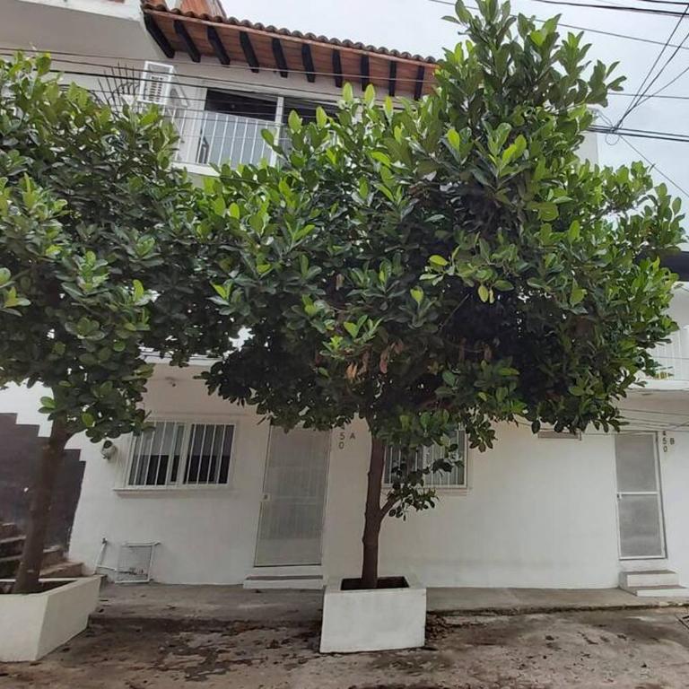 Studio Pulpito in the charming heart of downtown PV - Apartamento de 1 dormitorio - 5