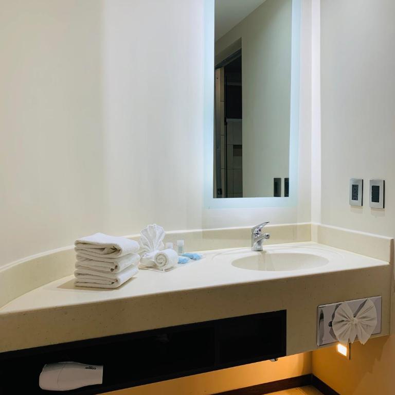 Holiday Inn Express - Mexico Basilica by IHG - Habitación Doble Estándar con cama grande - adaptada para personas de movilidad reducida - 1