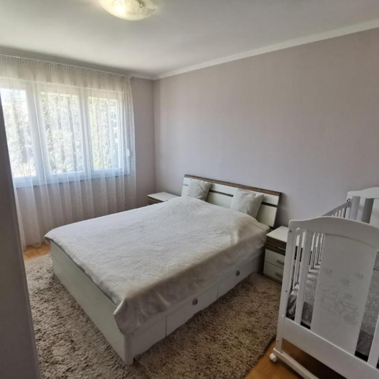 Apartman Andrija - Apartman sa 1 Spavaćom Sobom - 7