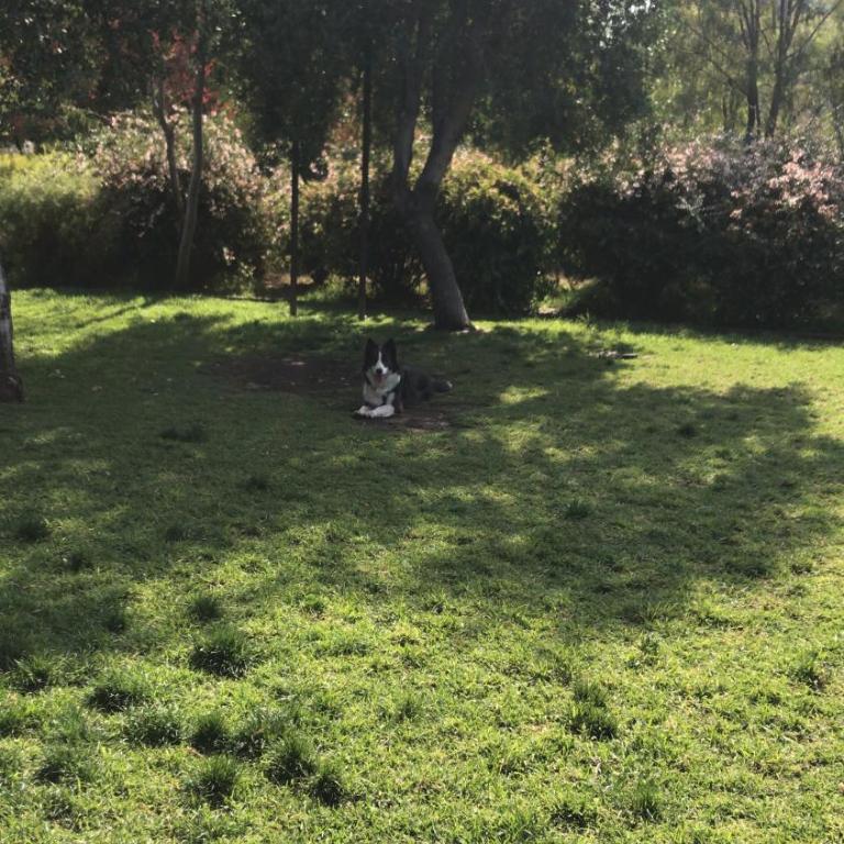 Casa San Alfonso Cajon del Maipo - Four-Bedroom House - 10