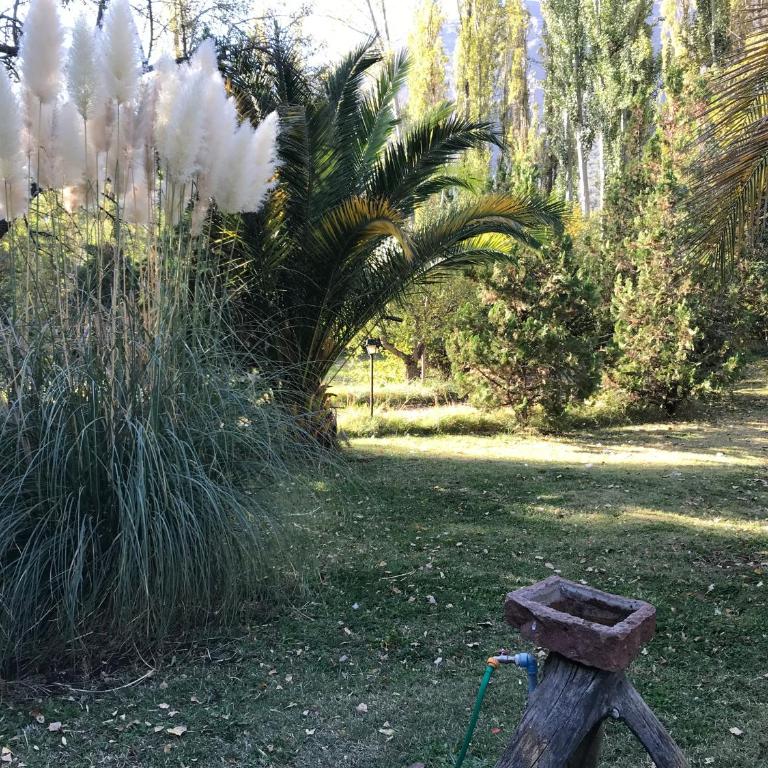 Casa San Alfonso Cajon del Maipo - Four-Bedroom House - 11