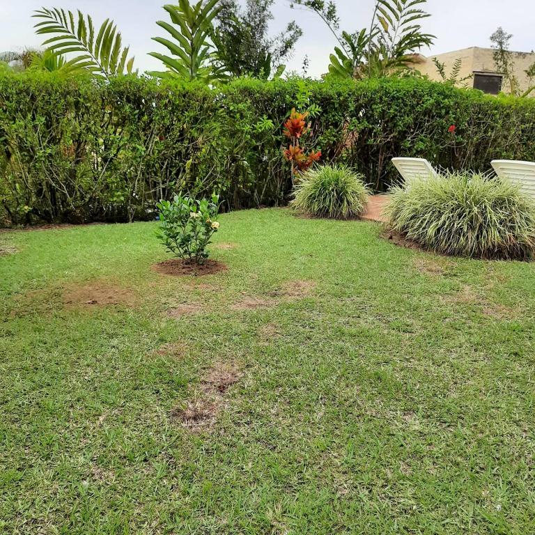 Fincas Panaca Portal 7 - Casa de 3 dormitorios - 2