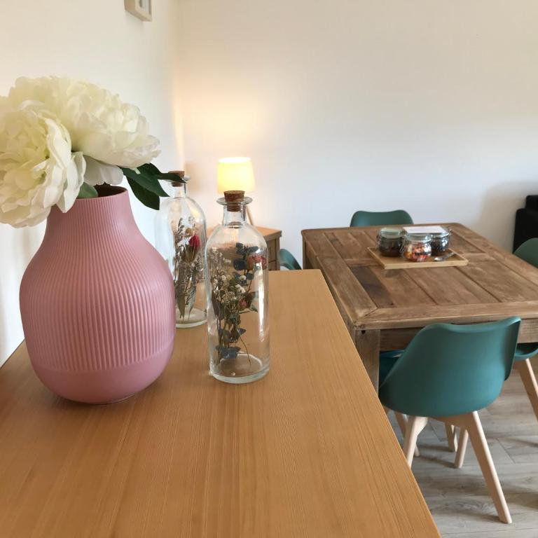 COTES ET LAC - Charme, Parking, Proche Lac et Randonnée - Appartement 1 Chambre - 21
