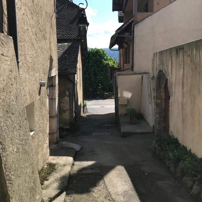 COTES ET LAC - Charme, Parking, Proche Lac et Randonnée - Appartement 1 Chambre - 33