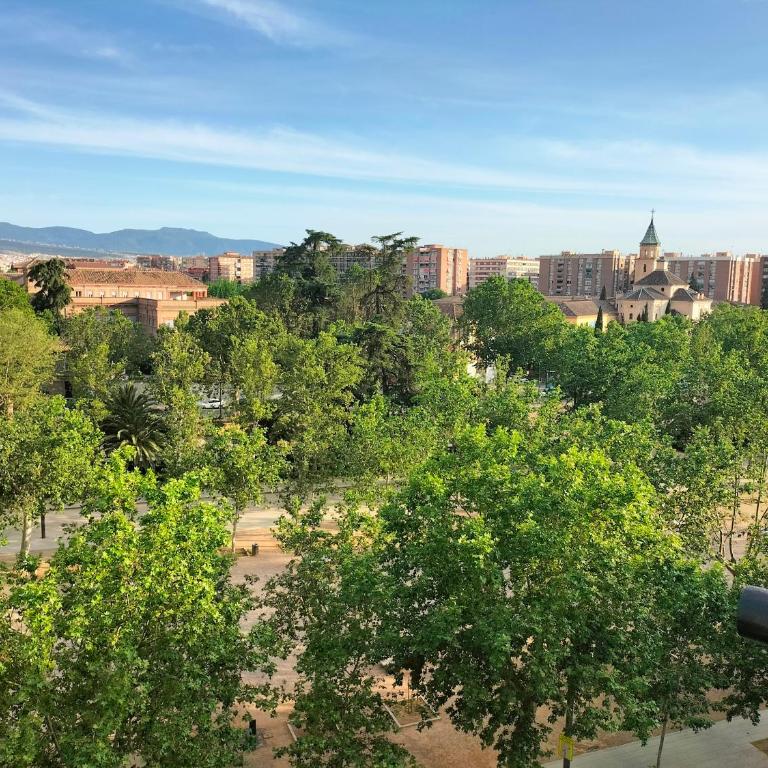 El Realejo Paradise - One-Bedroom Apartment - 28