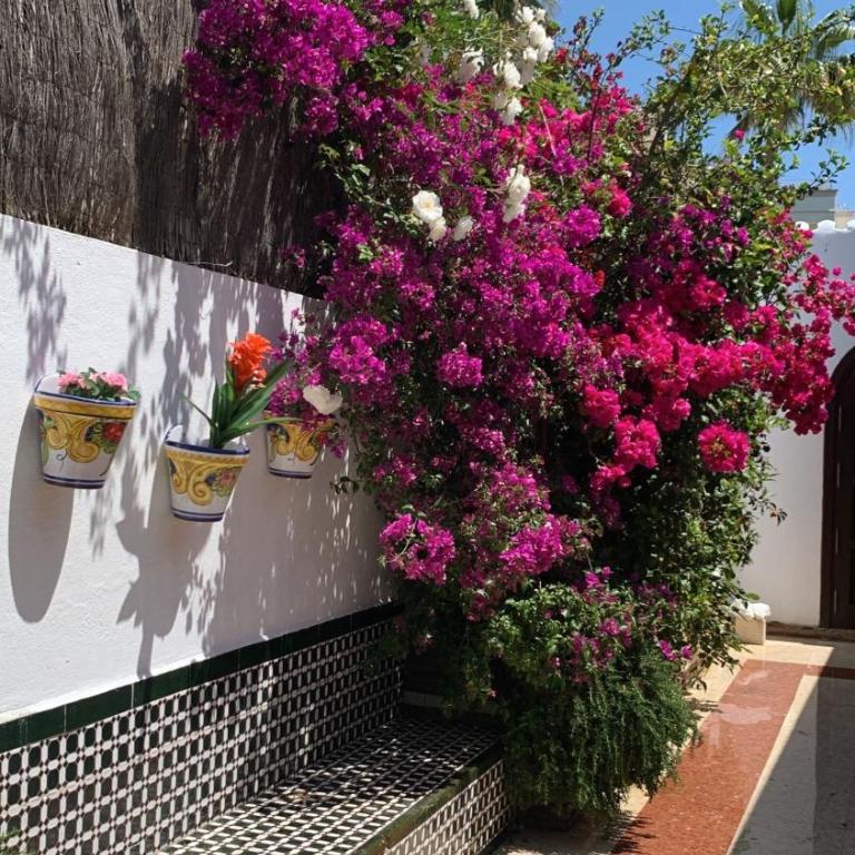 Marbella Villa on the beach - Villa frente a la playa - 29