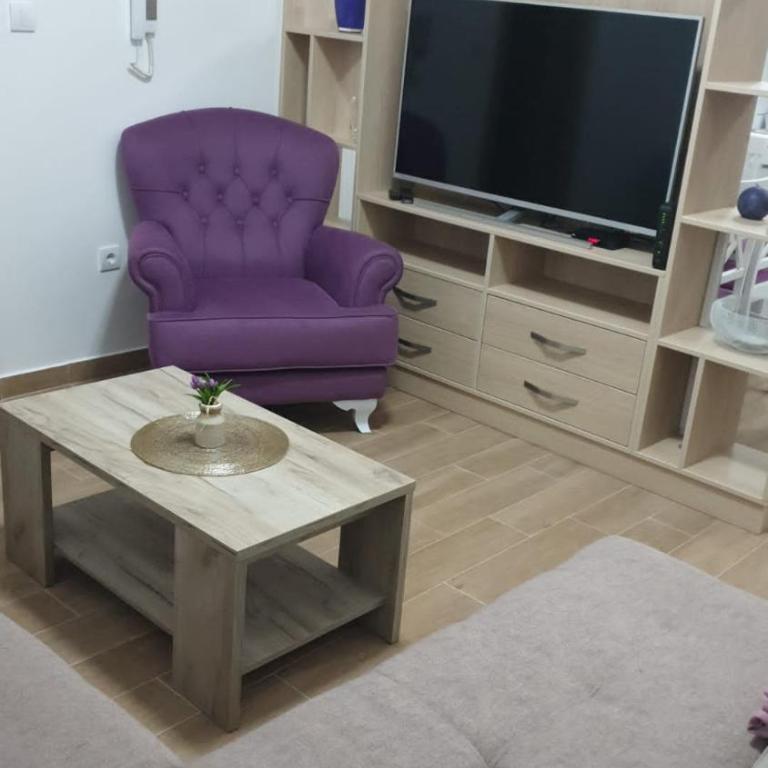 Waterfront Apartment Petrovina - One-Bedroom Apartment - 29