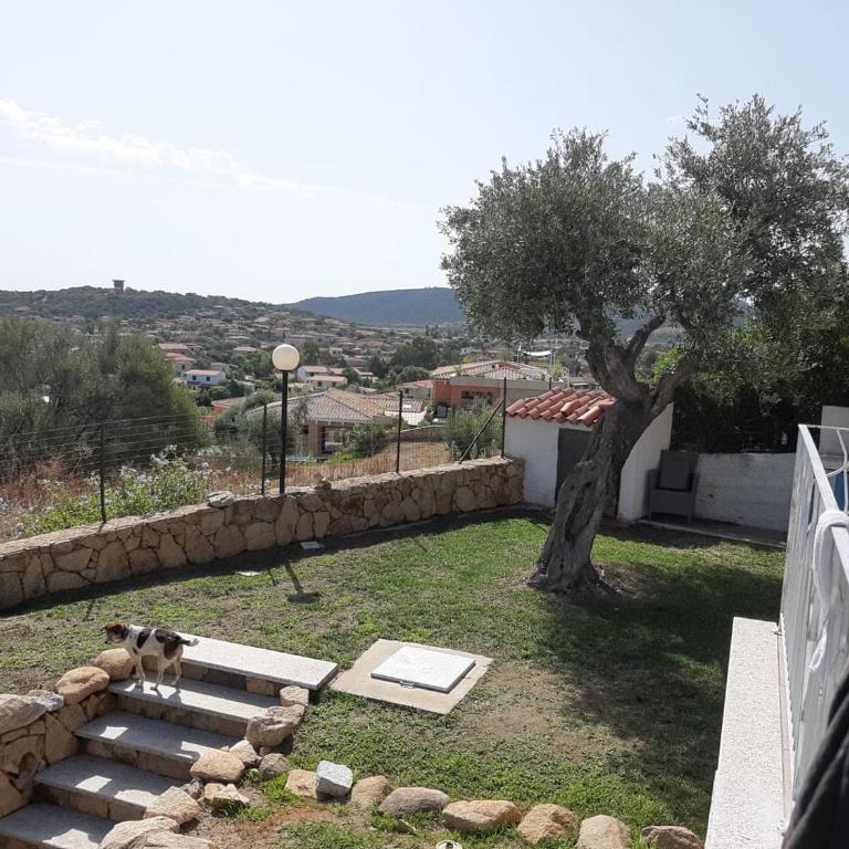 ISS Travel, Sea View apartment Il Corbezzolo - ground floor with air-condition - Appartamento con 2 Camere da Letto - 15