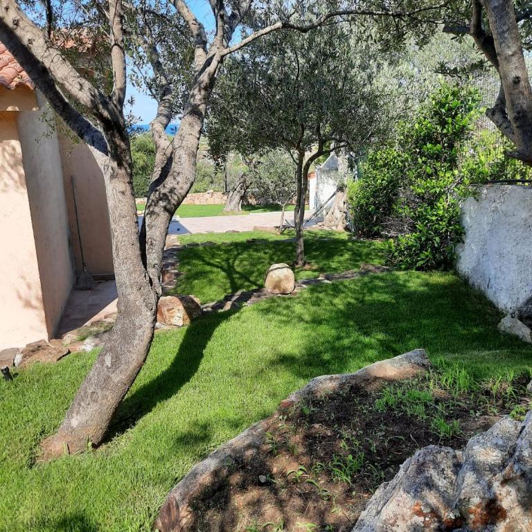 ISS Travel, Sea View apartment Il Corbezzolo - ground floor with air-condition - Appartamento con 2 Camere da Letto - 7