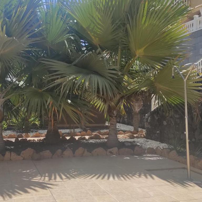 PALM-MAR HEATED POOL,PARKING,AIR,WIFi - Apartamento con balcón - 17