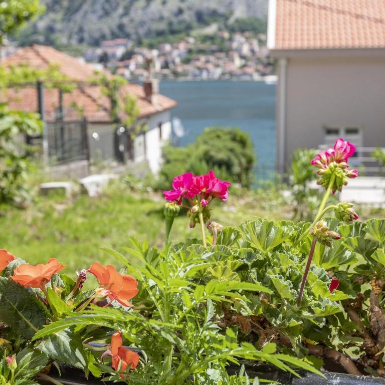Muo Sea Front Apartments Kotor - Two-Bedroom Apartment - 6