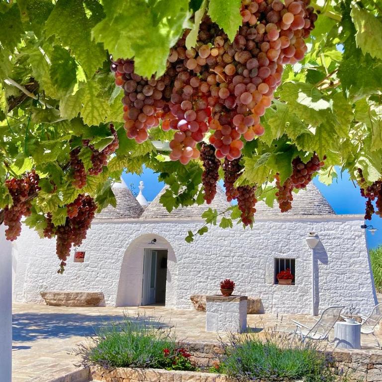 Trullo Fragno - Apuliaria Stays - Villa with Private Pool - 65