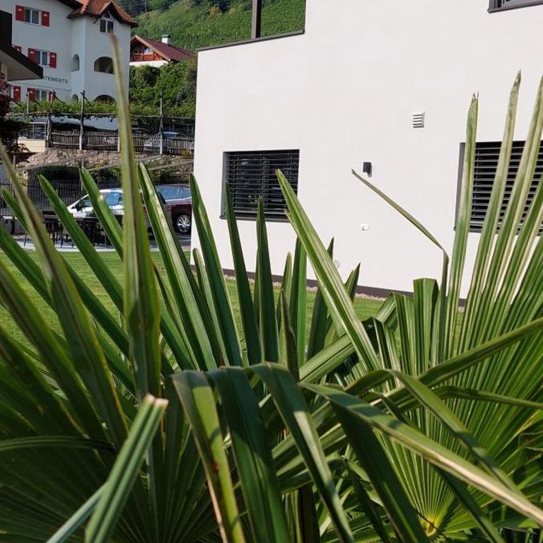 Marlingsuites - Vinea - Wieser Josef - Marling - Appartamento con 2 Camere da Letto - 35