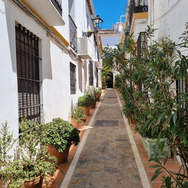 Town house with roof terrace - Old Town - Apartamento de 2 dormitorios - 1