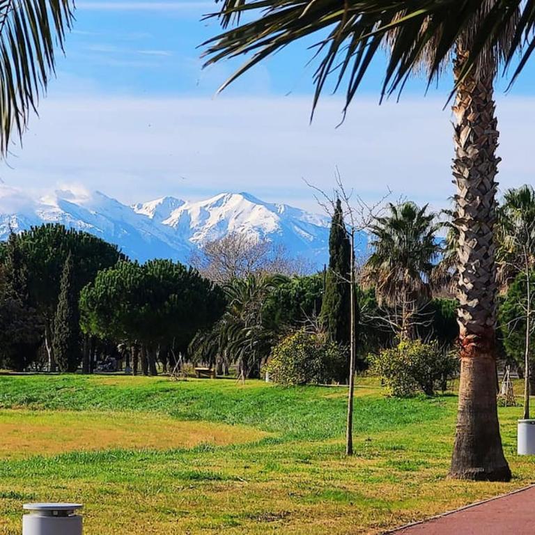 Appartement 63 m2, tout confort, climatisé. - Apartamento de 2 dormitorios - 3