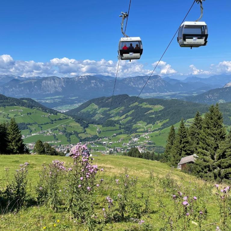 Sonnenalp Sonnhang de Luxe - Apartment mit 3 Schlafzimmern - 14