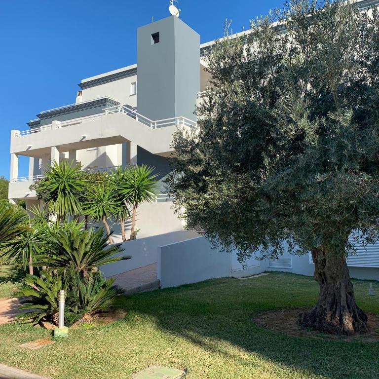Blue Oliva Nova MET & Golf - Apartamento de 2 dormitorios - 5
