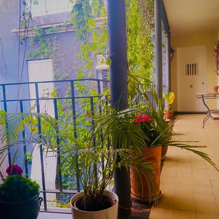 innSevillaLUXURY APARTMENT PILATOS - Apartamento de 2 dormitorios - 14