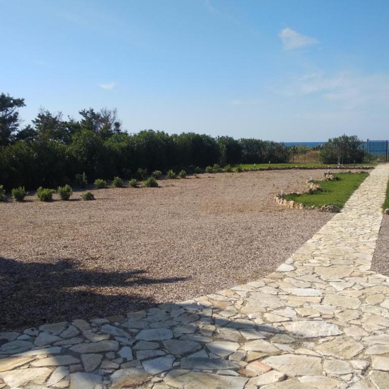 Mansarda Camelie via dei Normanni, 45 - Vacation Home - 10