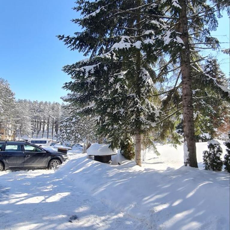 Apartman PIKOLO Zlatibor - Apartman sa 1 Spavaćom Sobom - 30