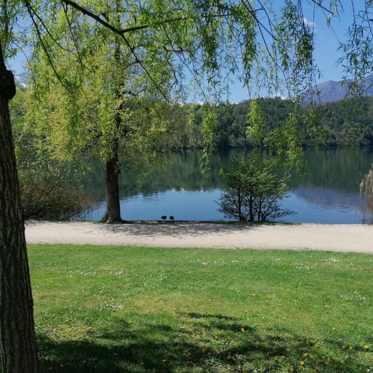 Ca' dei Cigni - Apartment with Lake View - 18