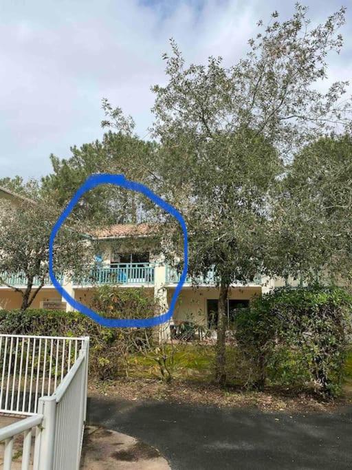 Appartement 3 pièces, 6 perso avec piscine chauffée en saison domaine du golf de Pinsolle - Appartement 2 Chambres - 20