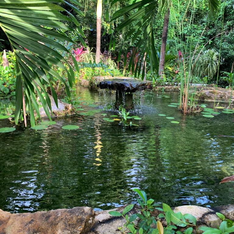 GLASS JUNGLE VILLA with amazing green views -10 min DT - Casa de 3 dormitorios - 55