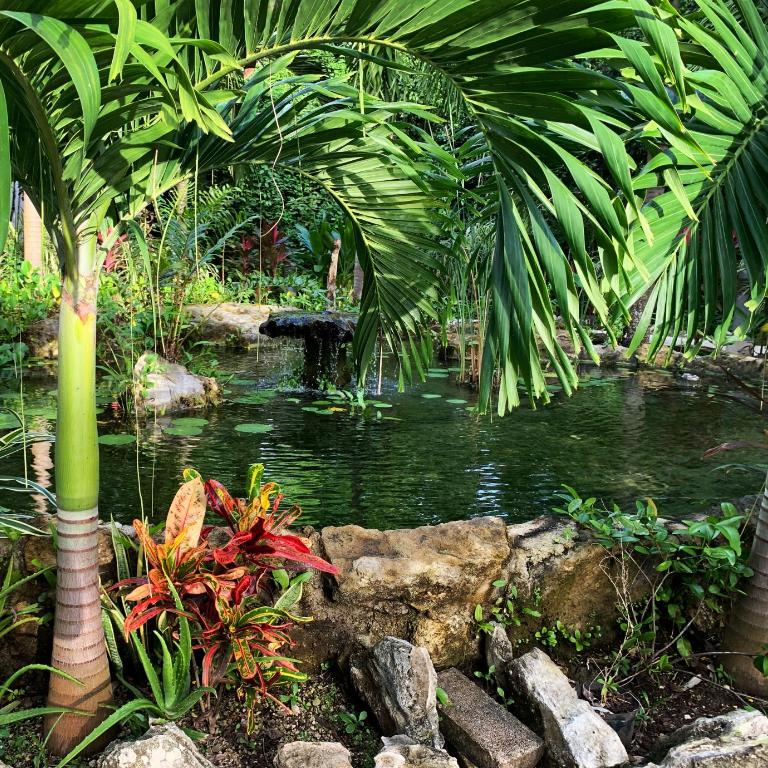 GLASS JUNGLE VILLA with amazing green views -10 min DT - Casa de 3 dormitorios - 80