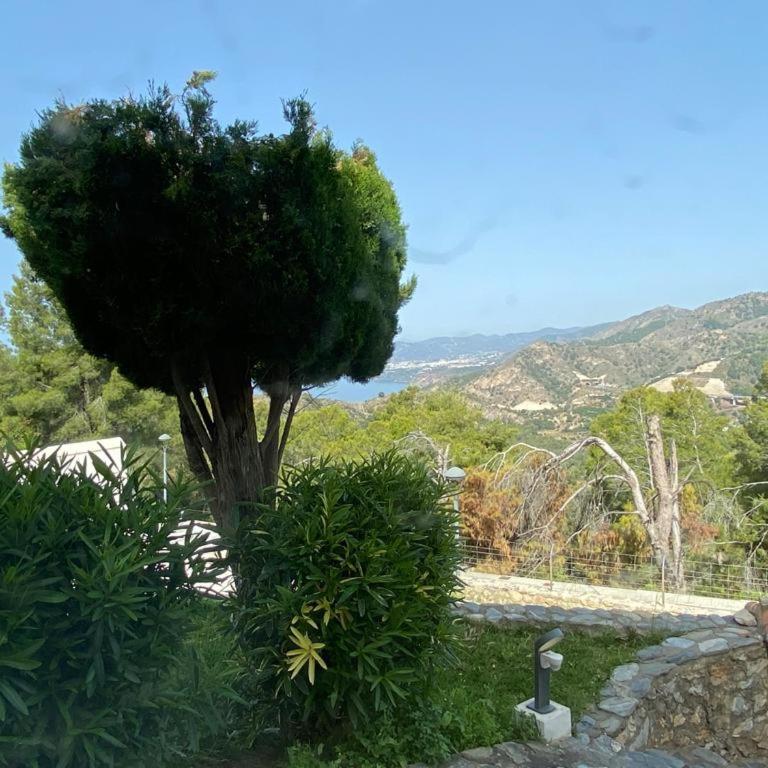 Half of the luxury villa with sea view and pool in natural park - Three-Bedroom Villa - 2