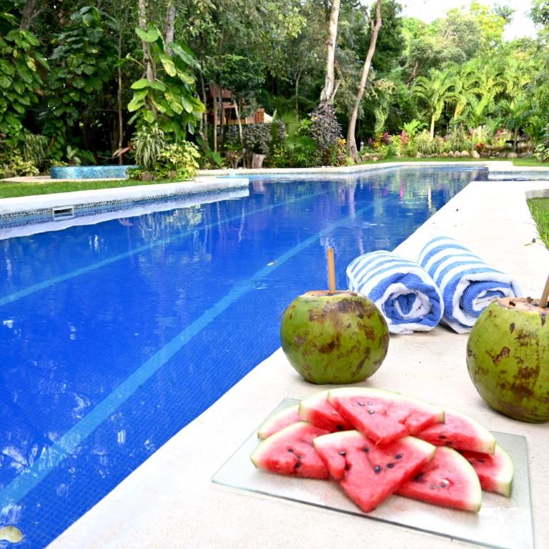 GLASS JUNGLE VILLA with amazing green views -10 min DT - Casa de 3 dormitorios - 6