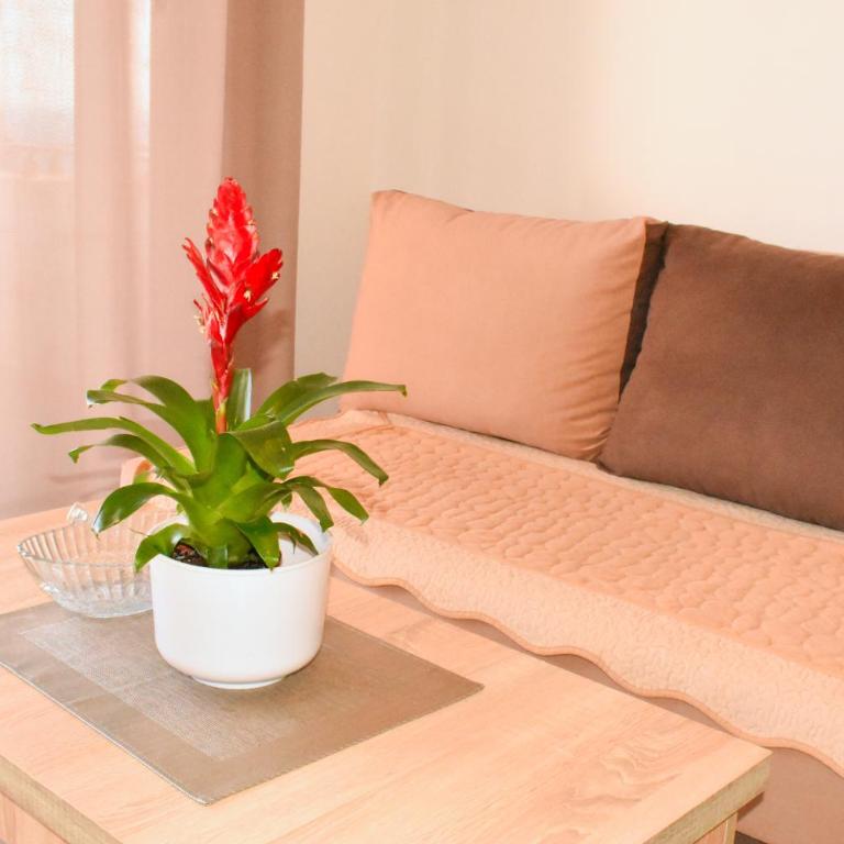 Studio Apartments Jupo - Studio Apartman sa Pogledom na More - 20