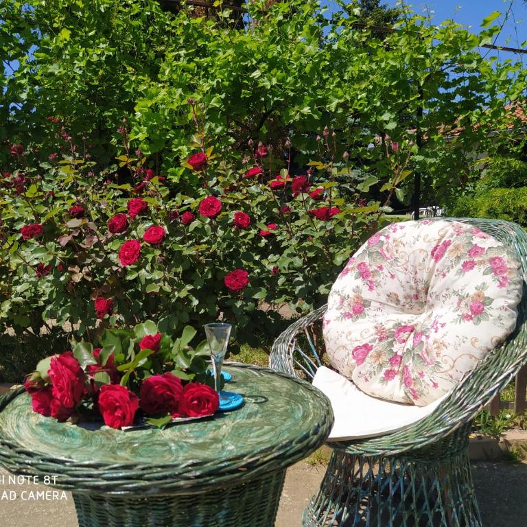 KosMaj Dan Belgrade, Sopot - Kuća sa 1 Spavaćom Sobom - 1