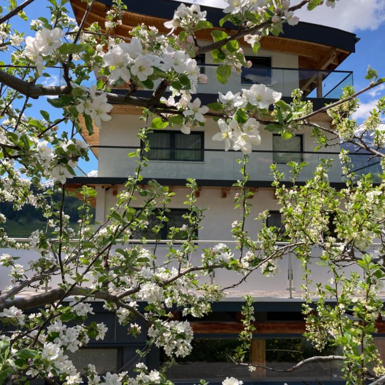 Apart Pedrolini - Apartment mit 2 Schlafzimmern und Balkon - 1