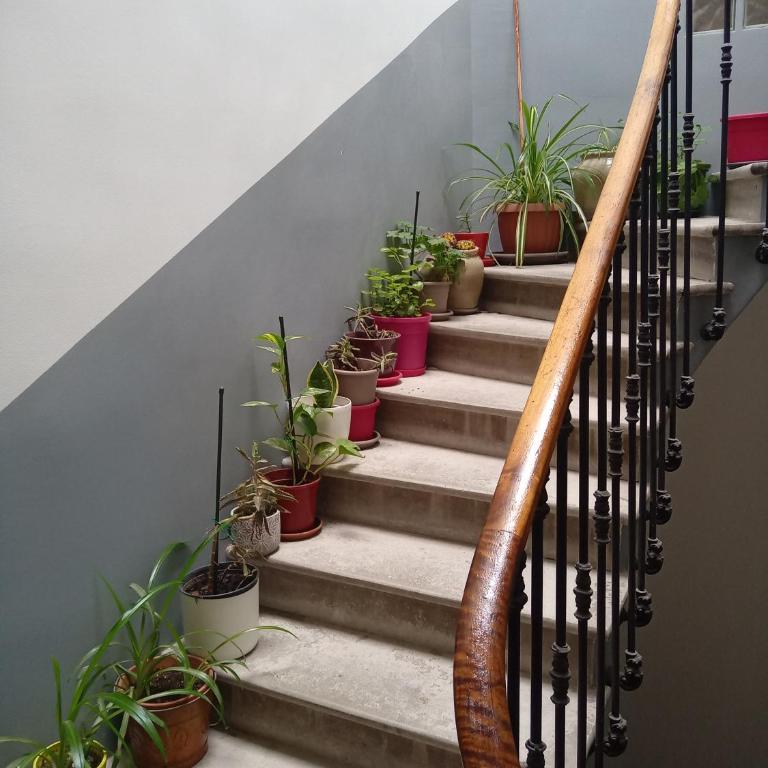 T2 neuf Sète centre ville - Appartement 1 Chambre - 7