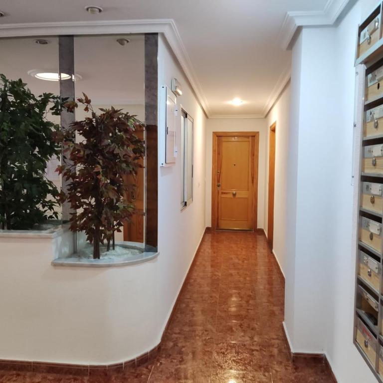 AK Apartamento en Torrevieja - Apartamento de 1 dormitorio - 18