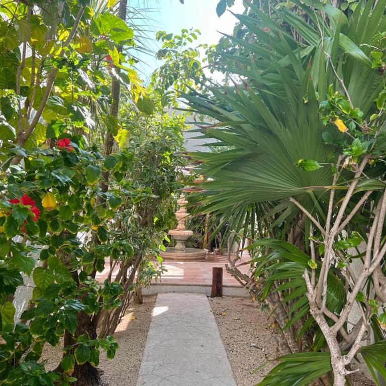 Casa Vista al Mar Isla Mujeres - Villa - 50
