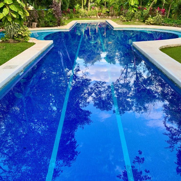 GLASS JUNGLE VILLA with amazing green views -10 min DT - Casa de 3 dormitorios - 44