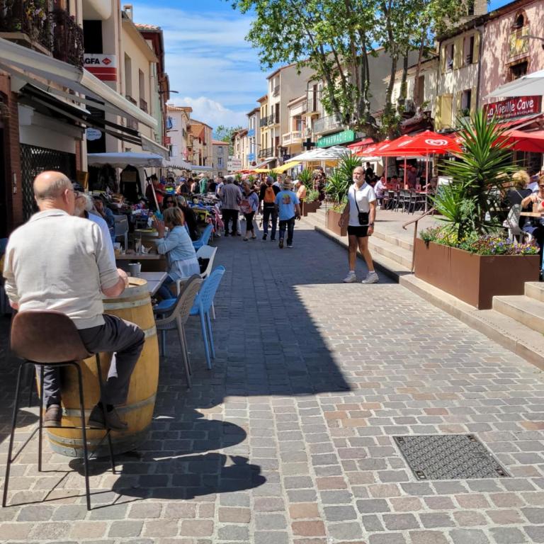 Bienvenue dans le ROUSSILLON - Appartement 2 Chambres - 23