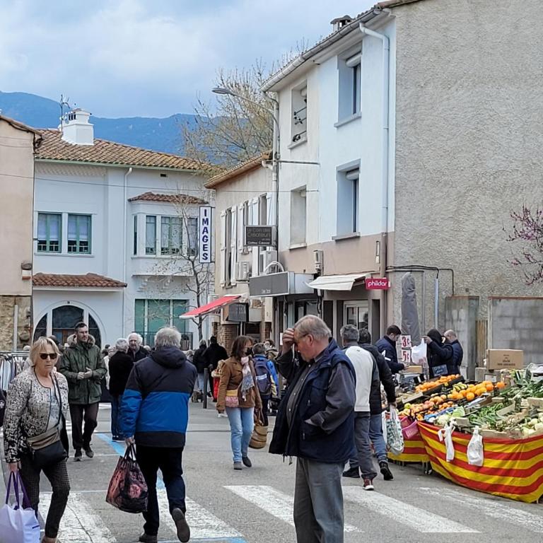 Bienvenue dans le ROUSSILLON - Appartement 2 Chambres - 24