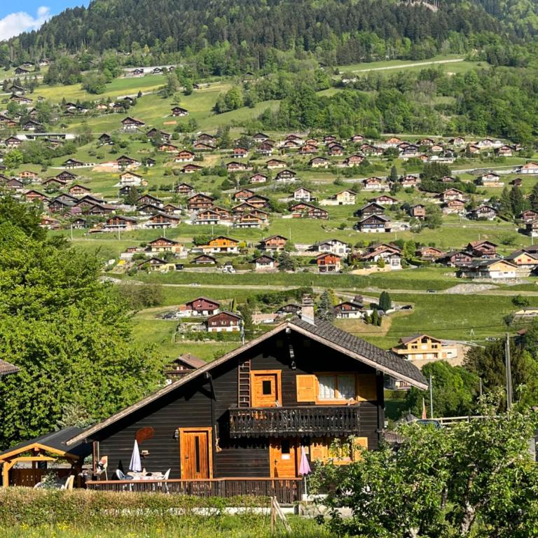 Le Mazot - Chalet - 9