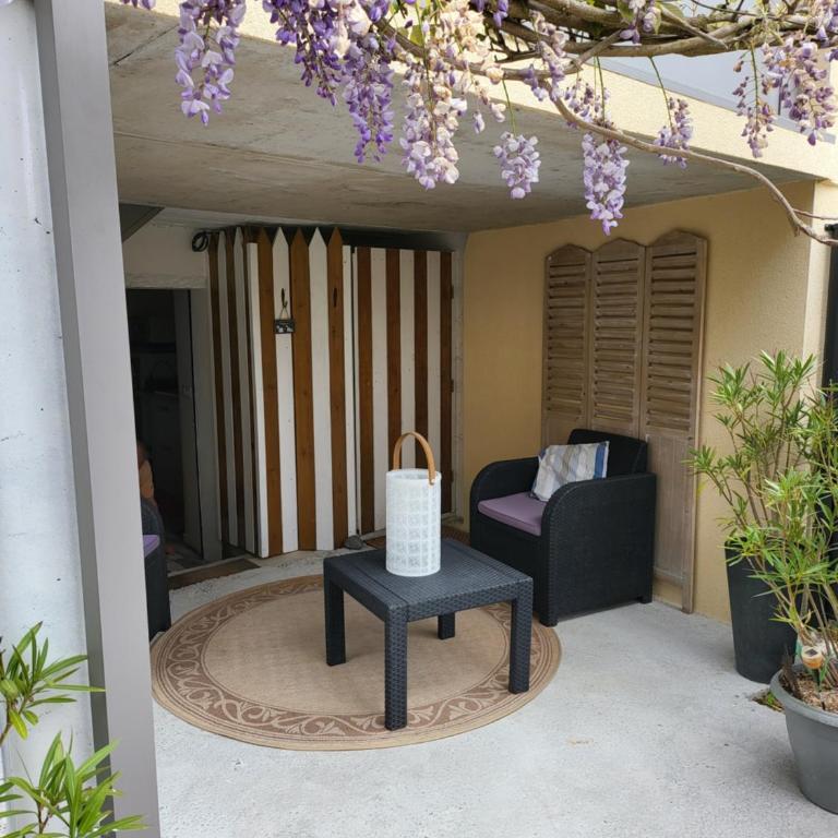 T2 terrasse de charme à Rochebonne 400 m plage - Apartamento con vistas al jardín - 1