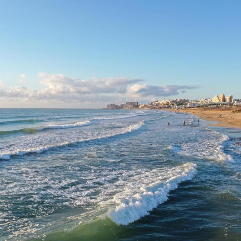 Apartment Viñamar III - Sunny La Mata - Apartamento de 1 dormitorio - 21