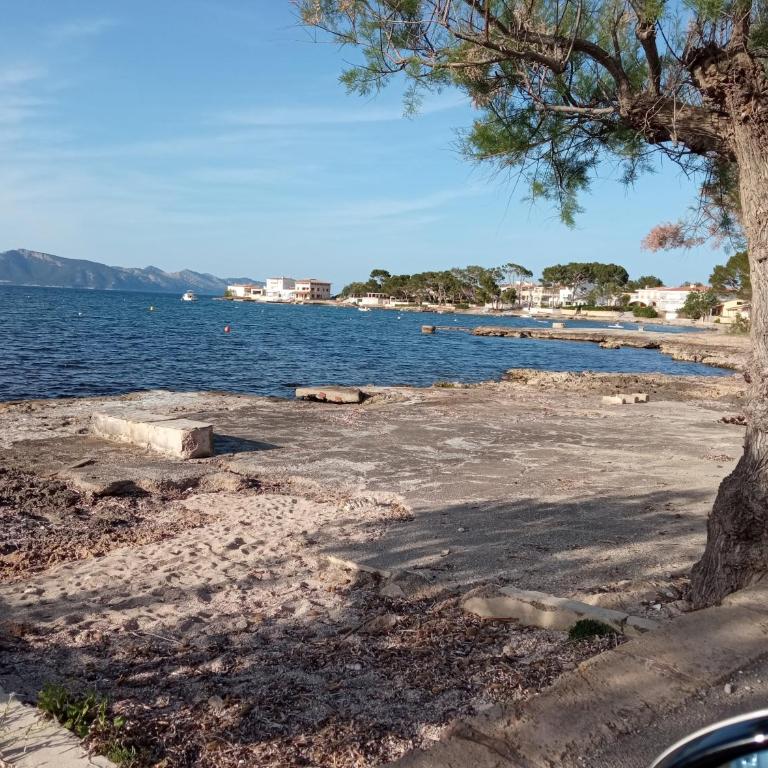 Voramar debaix - Apartamento de 3 dormitorios - 19