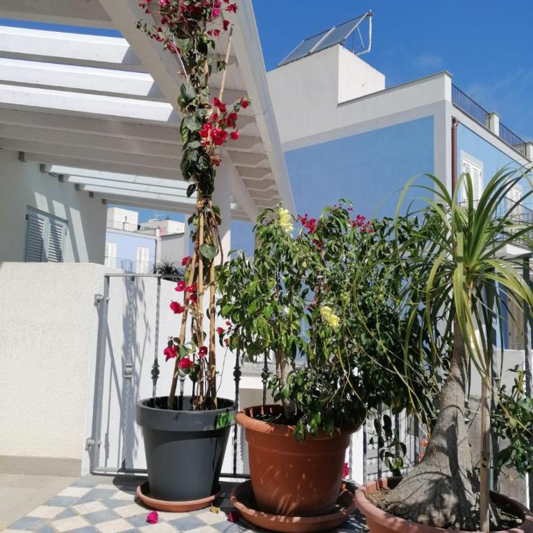 Villa Portinente - Casa Vacanze - 14